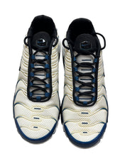 Nike Air Max Plus TN Reinplantin Blue (42 EU)