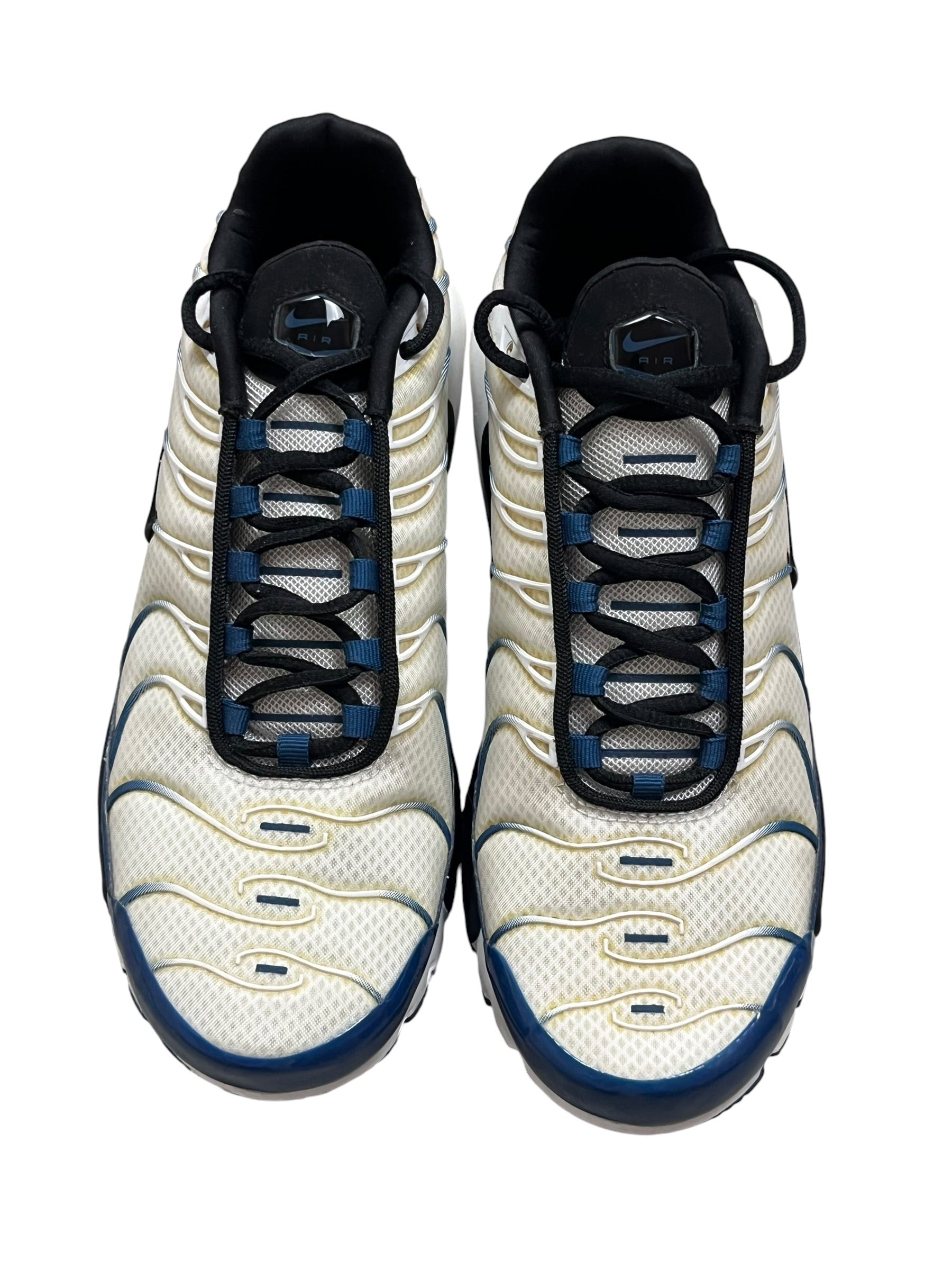 Nike Air Max Plus TN Reinplantin Blue (42 EU)