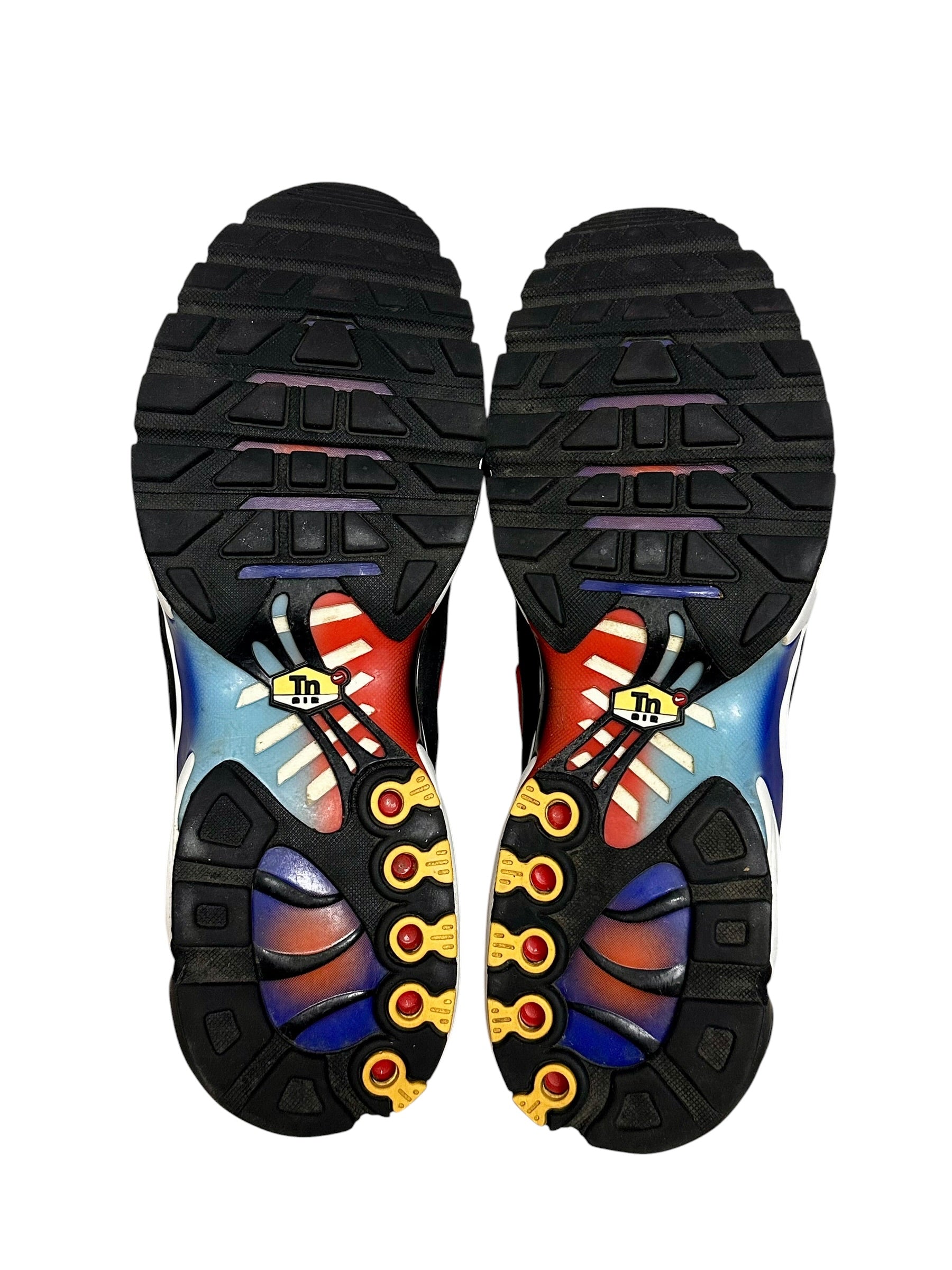 Nike Air Max Plus TN Greig (46 EU)