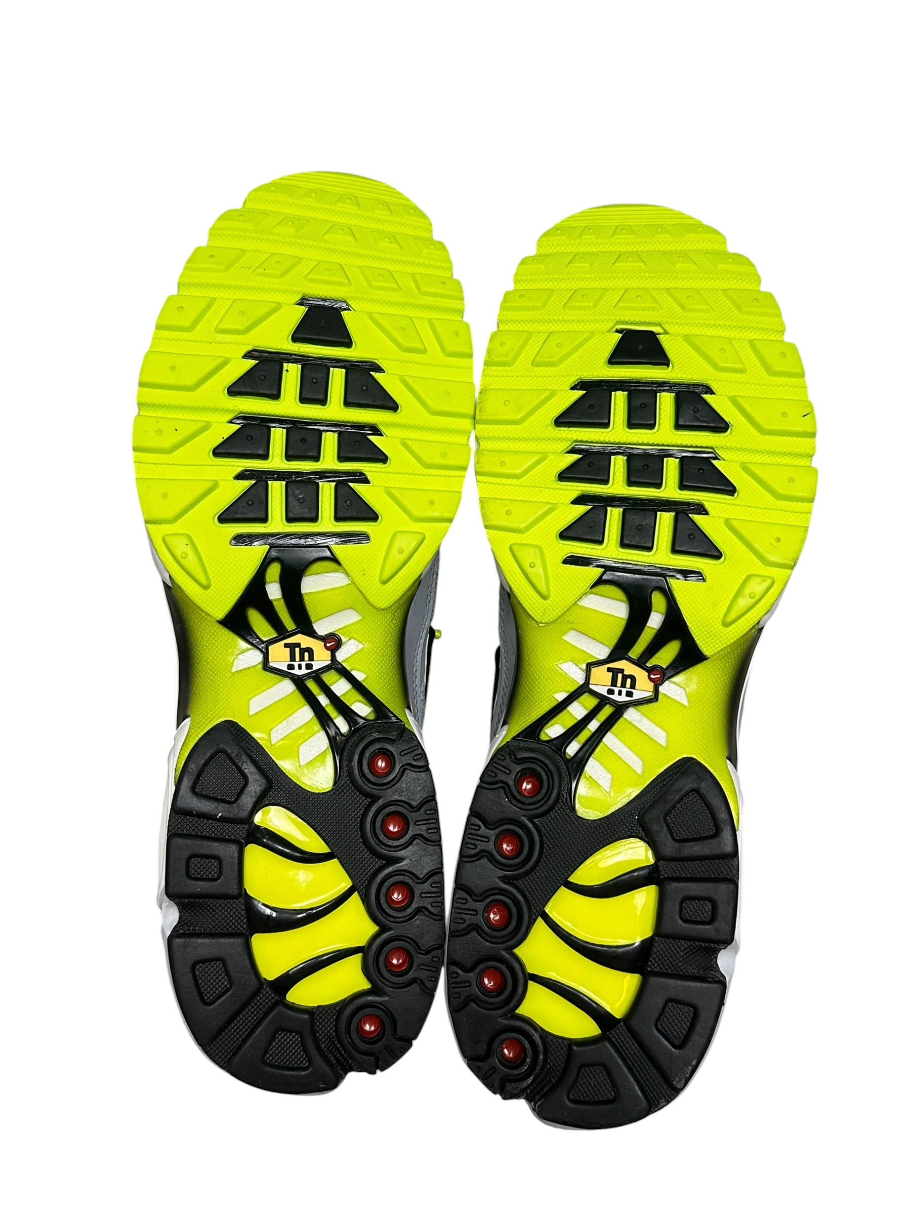 Nike Air Max Plus TN Reflective Logo (46)