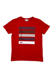 Lacoste T-Shirt (S)