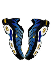 Nike Air Max Plus TN Greig (46 EU)