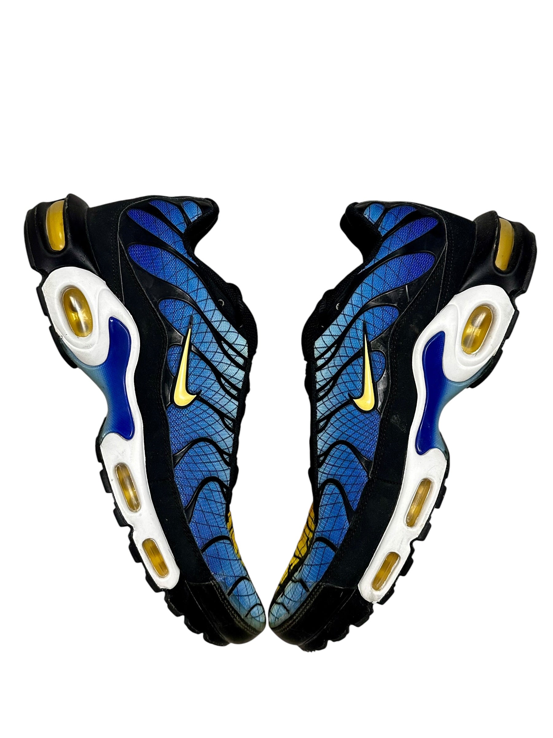Nike Air Max Plus TN Greig (46 EU)