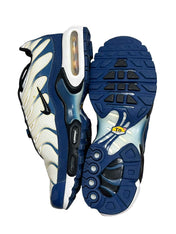Nike Air Max 95 Reinplantin Blue (42 EU)