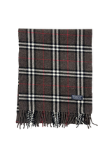 Burberry Scarfs (160 cm)